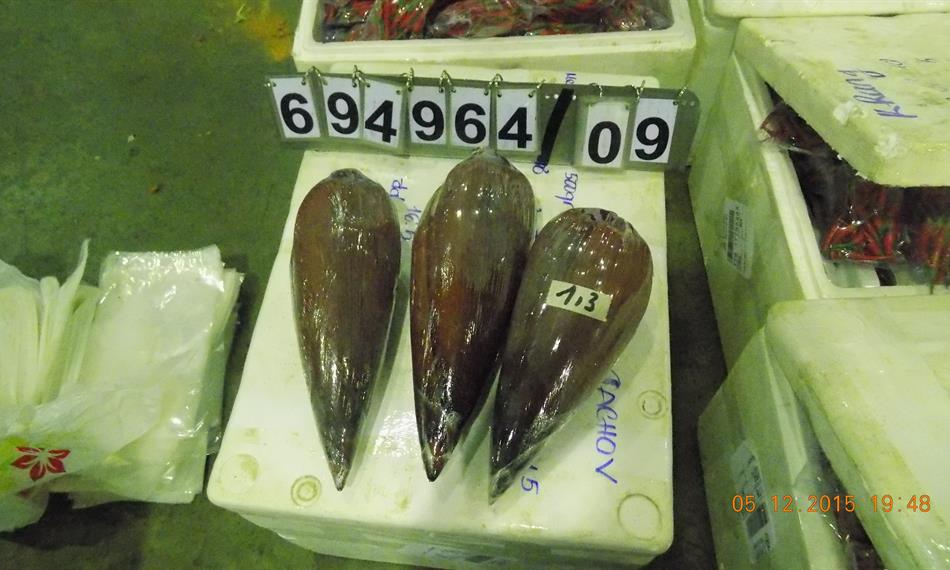 2015-12-8-953foto 7.JPG